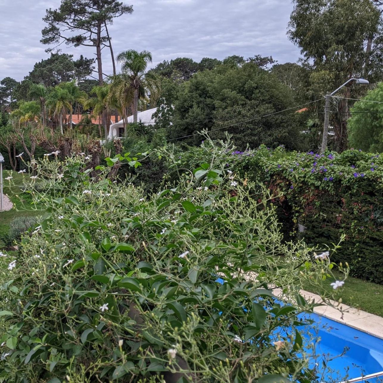 Arsamici Hotel Punta del Este Exterior photo