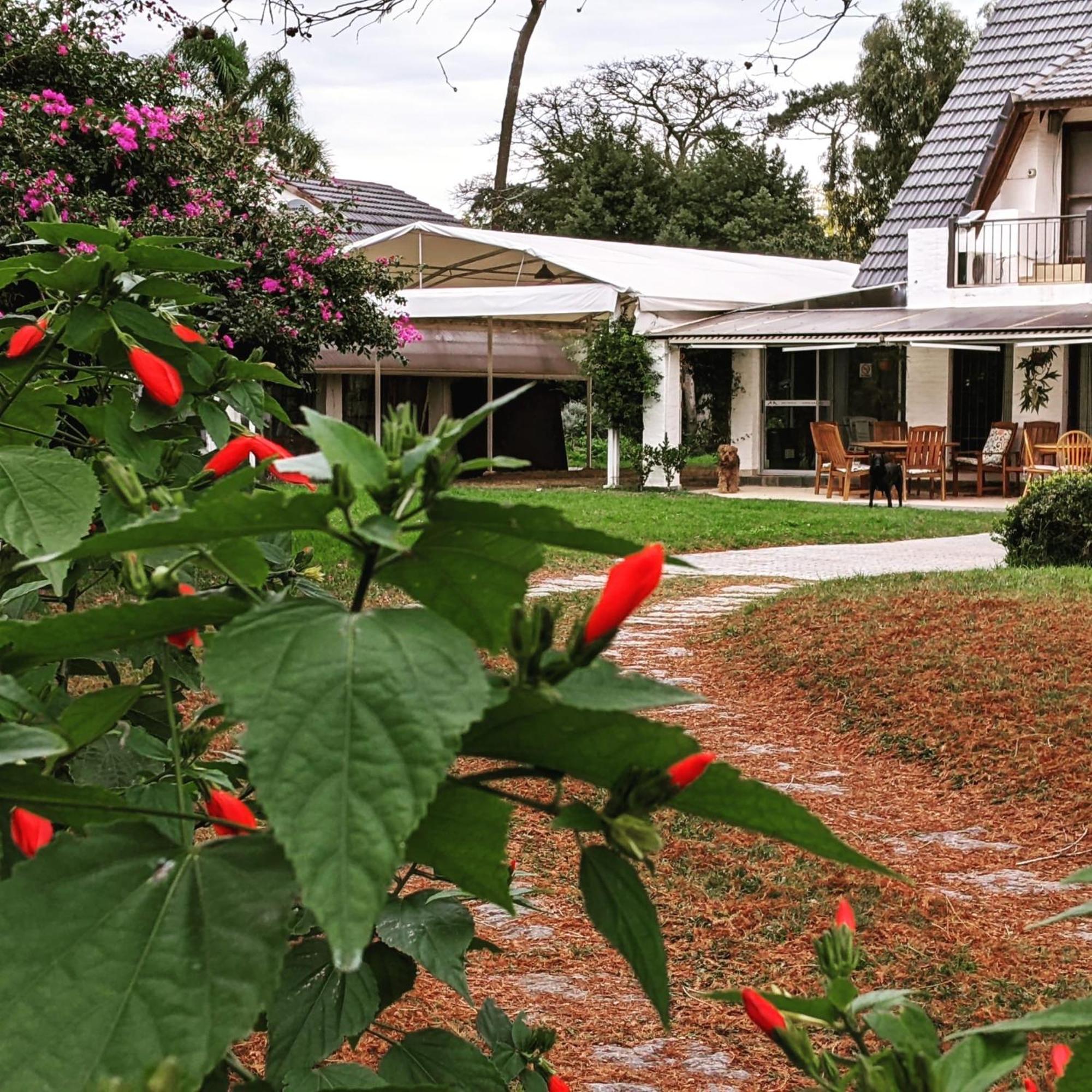 Arsamici Hotel Punta del Este Exterior photo