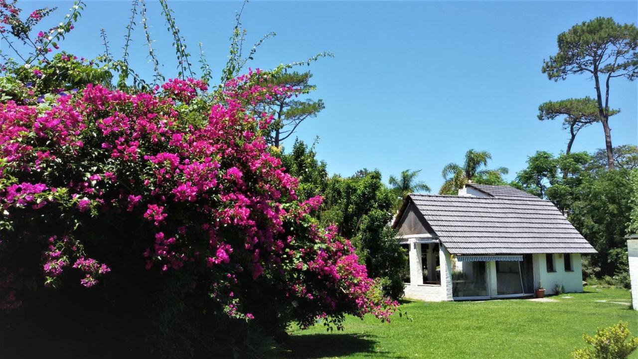 Arsamici Hotel Punta del Este Exterior photo